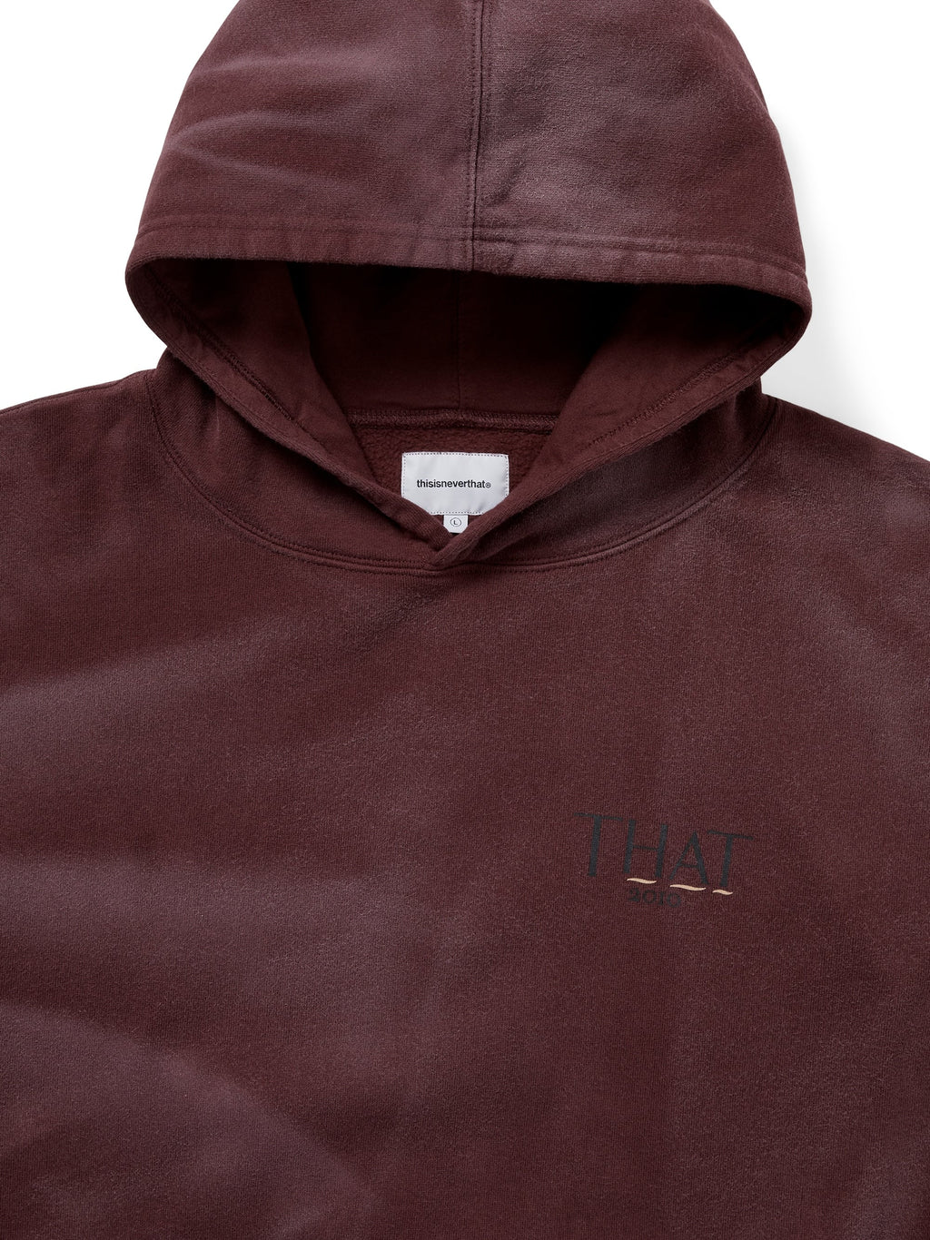 Faded THAT 2010 Hoodie