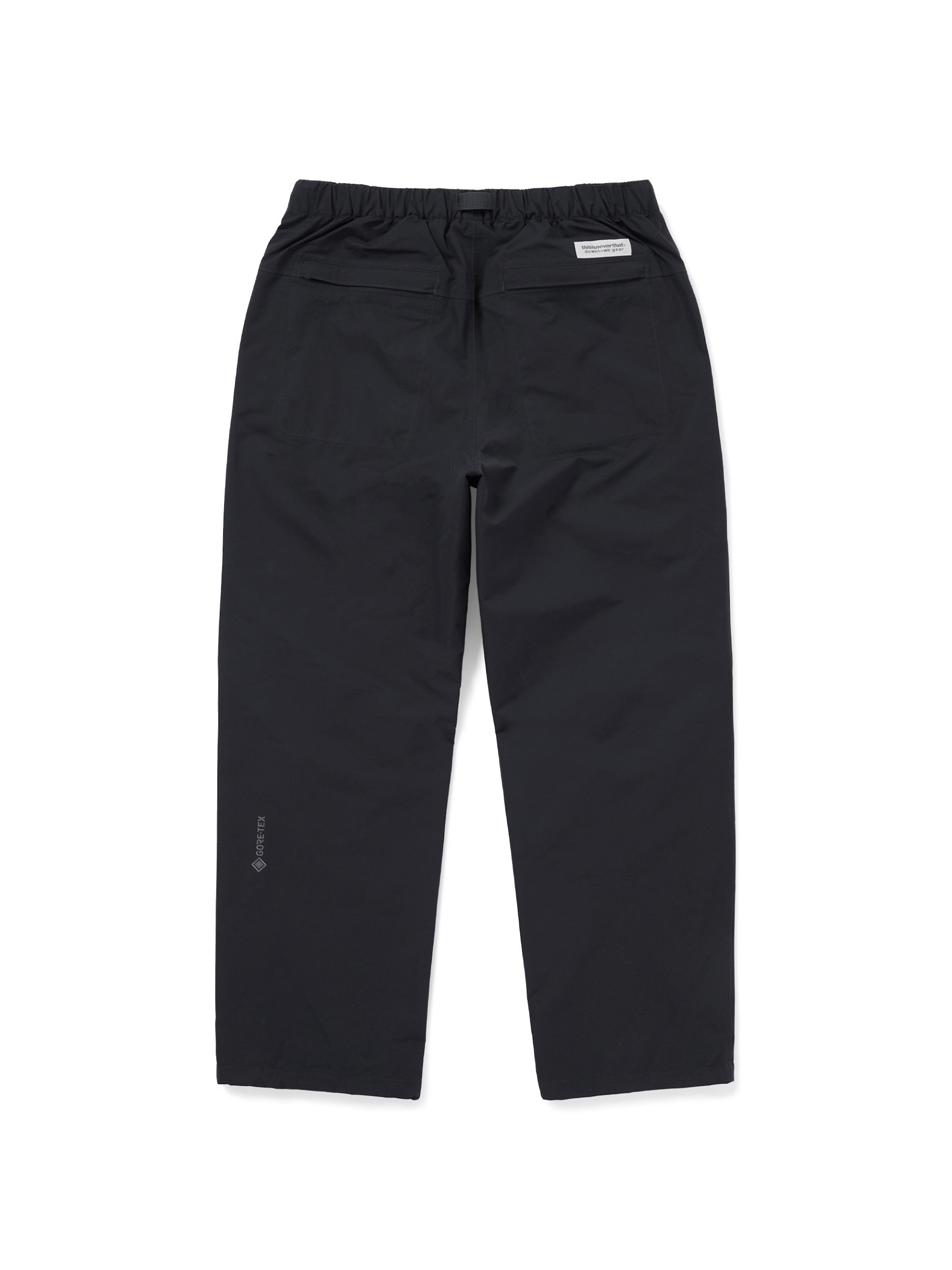 GORE-TEX 2L Hiking Pant